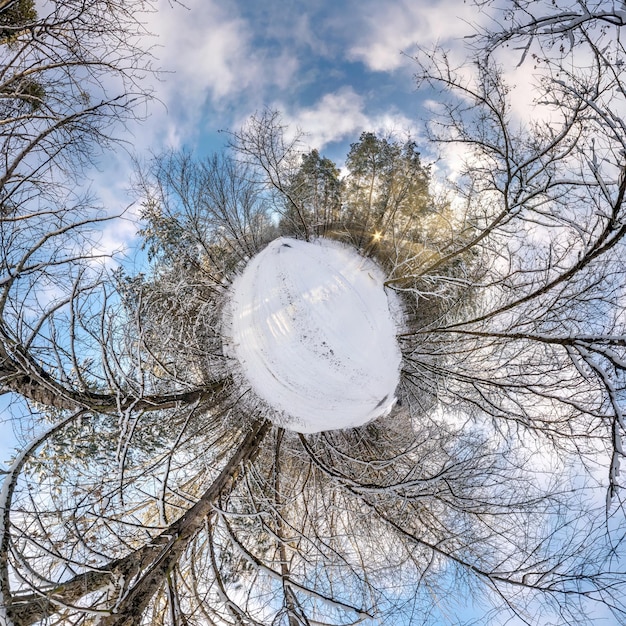 Foto pequeno planeta de inverno na floresta coberta de neve transformação do panorama esférico 360 graus vista aérea abstrata esférica na floresta curvatura do espaço