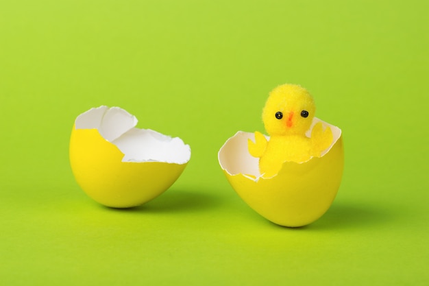 Un pequeño pollo saliendo de un huevo amarillo sobre un fondo verde.