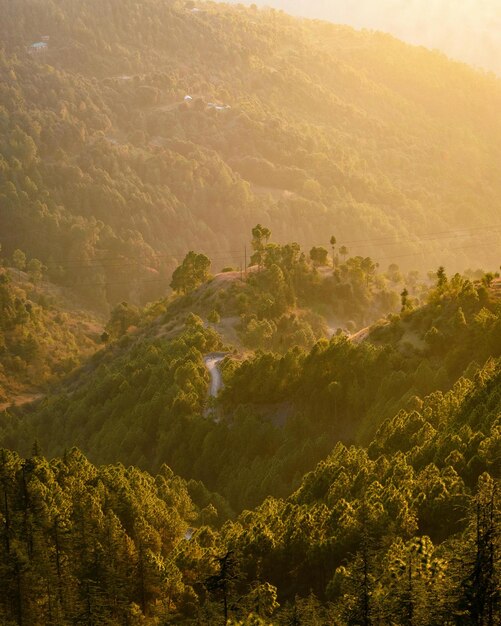 un pequeño pueblo en el medio de un bosque