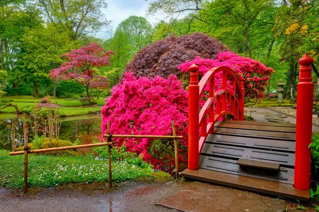 Pequeño puente en el jardín japonés, Park Clingendael, La Haya, Países Bajos