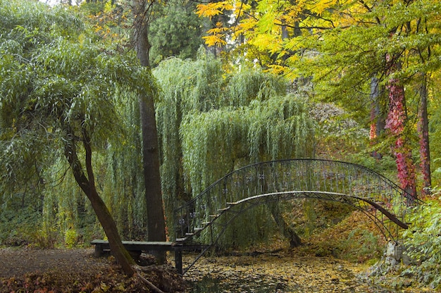 Un pequeño puente en el parque nacional de la ciudad de Kharkov en Ucrania El agua del canal refleja los colores del otoño