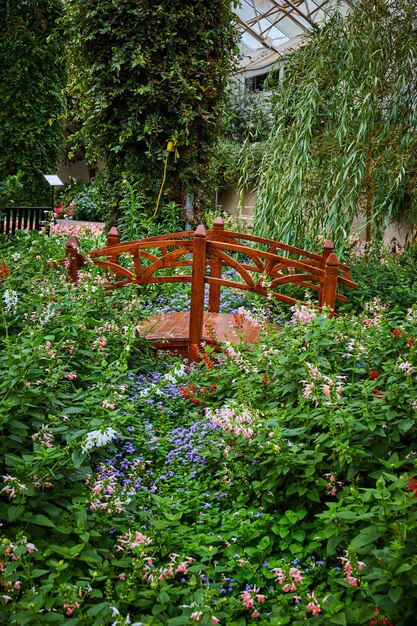 Pequeño puente peatonal de madera sobre jardines botánicos