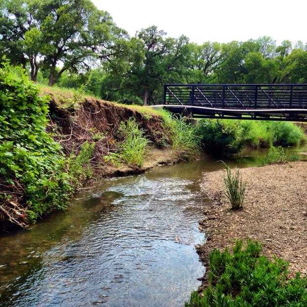 Foto pequeño puente sobre el arroyo