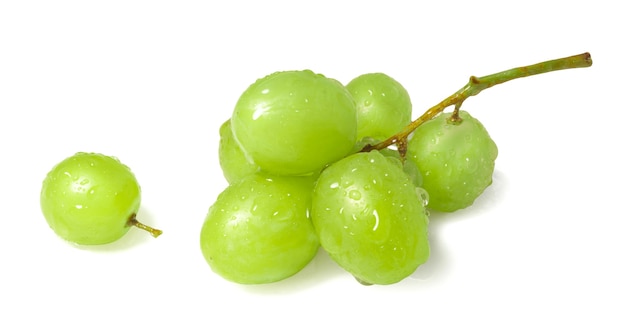 Pequeno raminho de uvas verdes frescas isolado