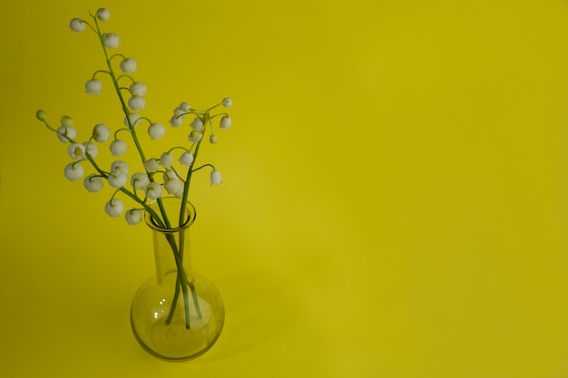 Un pequeño ramo de flores de lirio de los valles en un pequeño jarrón de vidrio sobre un fondo amarillo