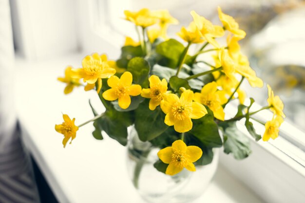 Pequeño ramo hermoso og primeras flores de primavera en la ventana