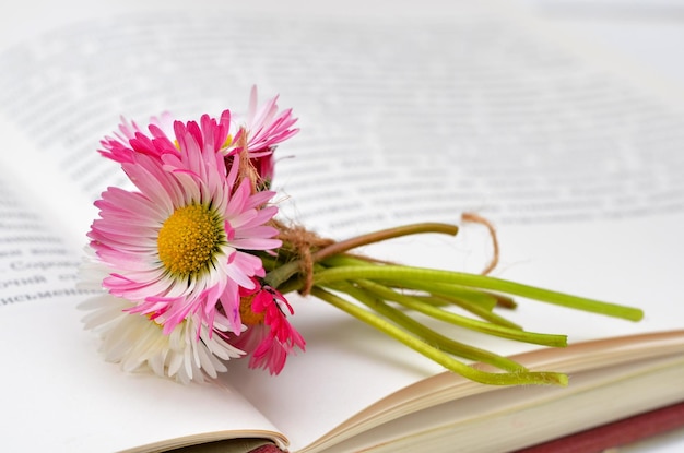 Un pequeño ramo de margaritas en el fondo del primer plano de libros abiertos