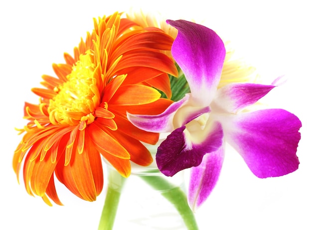 Pequeño ramo de orquídeas y gerberas sobre blanco