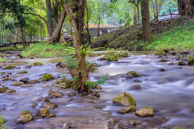 Foto pequeno riacho da montanha