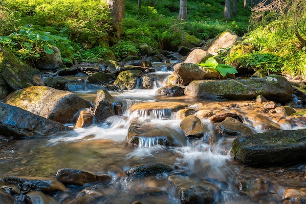 Pequeno riacho de montanha flui entre rochas na floresta Manhã brilhante nas montanhas fluxo rápido iluminado pelo sol nascente