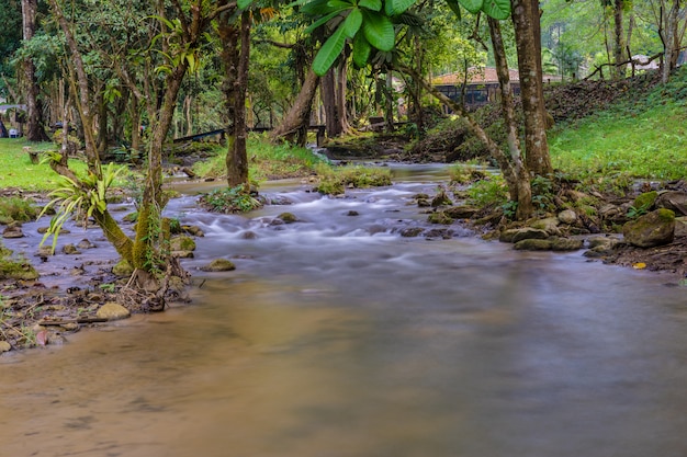 Pequeño riachuelo de montaña