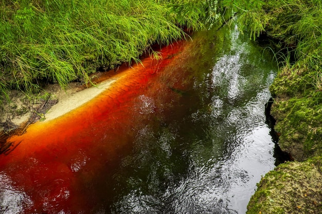 Un pequeño río con agua de arcilla roja en Karelia. Hermosa naturaleza inusual