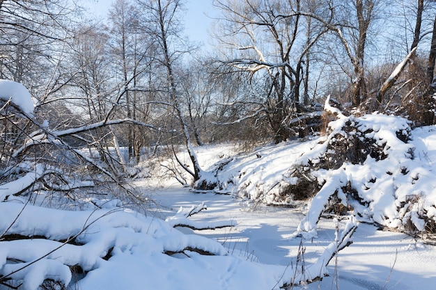 Un pequeño río cuyas aguas se congelan en invierno, un río congelado durante las heladas invernales, nieve y heladas en la naturaleza en invierno cerca de un río o lago