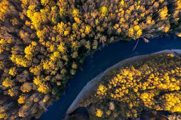 Foto pequeno rio de montanha na floresta de outono de um ponto de vista alto drone photo