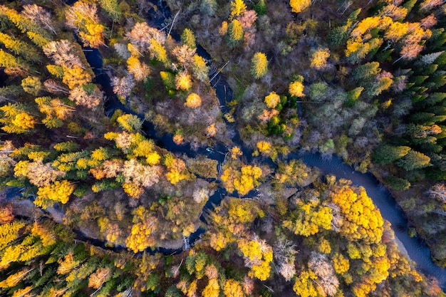 Foto pequeno rio de montanha na floresta de outono de um ponto de vista alto