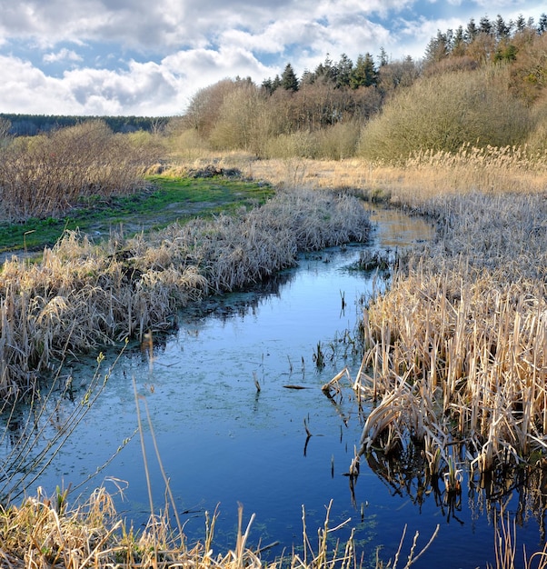 Pequeño río en Dinamarca a finales de otoño Una foto del otoño en Dinamarca