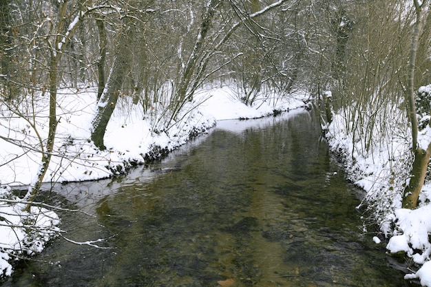 Pequeño río en invierno