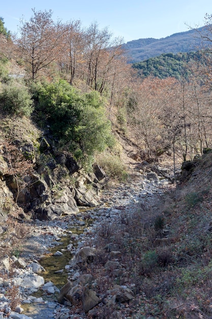 Un pequeño río de montaña con agua limpia y fría Grecia