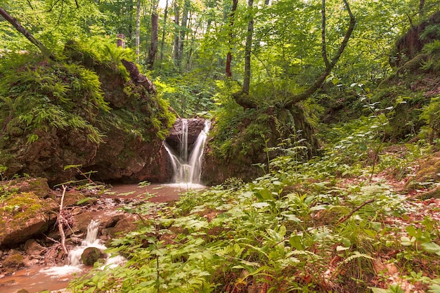 Foto un pequeño río de montaña en el fondo de un profundo desfiladero, una pequeña cascada.