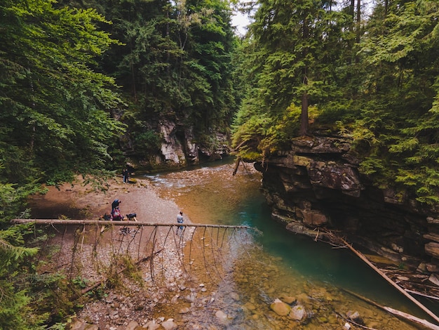 Pequeño río en las montañas de los cárpatos ucranianos