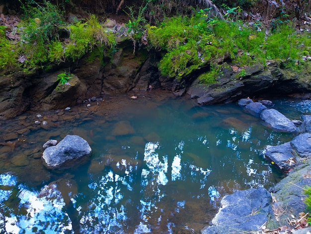 Pequeno rio na floresta tropical