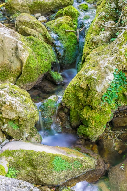 Pequeno rio pitoresco flui entre as pedras da floresta.