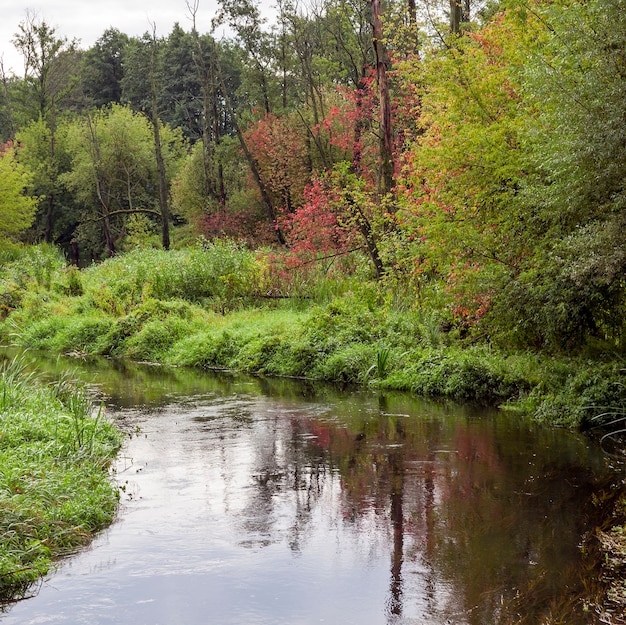 Foto un pequeño río en la temporada de otoño, algunos árboles comenzaron a cambiar el color del follaje, el paisaje