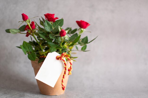 Pequeño rosal de rosas rojas con una tarjeta de regalo en blanco