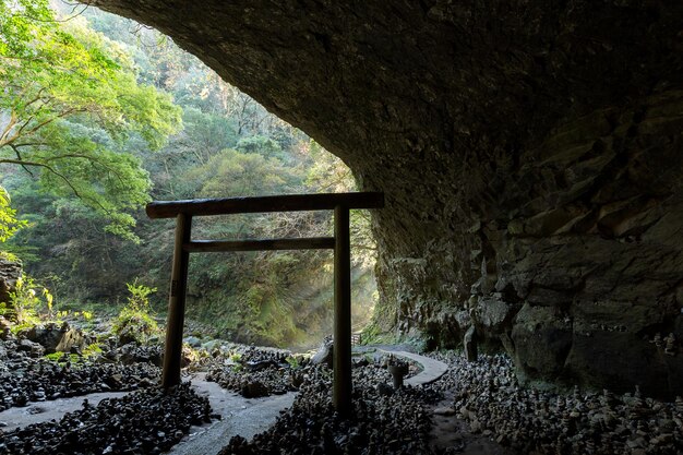 Foto pequeño santuario sintoísta japonés