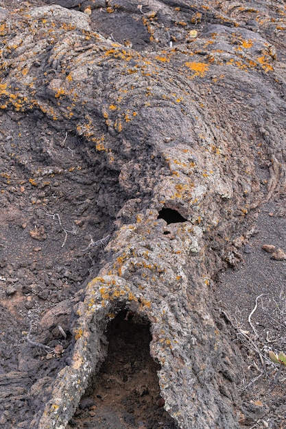 Pequeño tubo de lava con agujeros y líquenes en la isla de El Hierro, Islas Canarias