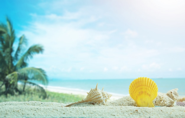 Pequeños cangrejos corriendo en la playa en vacaciones de verano