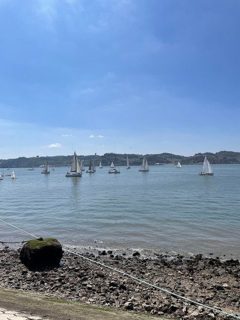 Foto pequenos clubes de vela navegando por lisboa