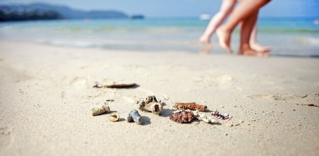 Pequeños corales se encuentran en una playa de arena, la gente camina en el fondo en un día soleado