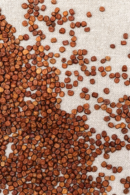 Pequeños granos de legumbres semillas de frijol