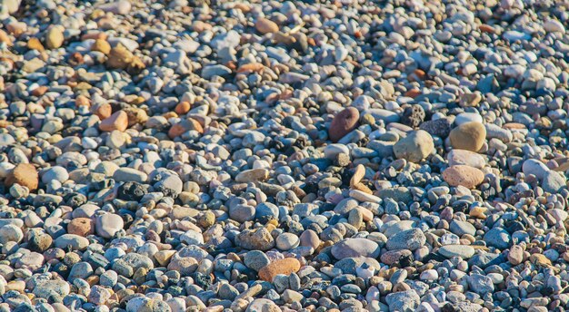 Pequeños guijarros de primer plano de piedras grises. Enfoque selectivo.