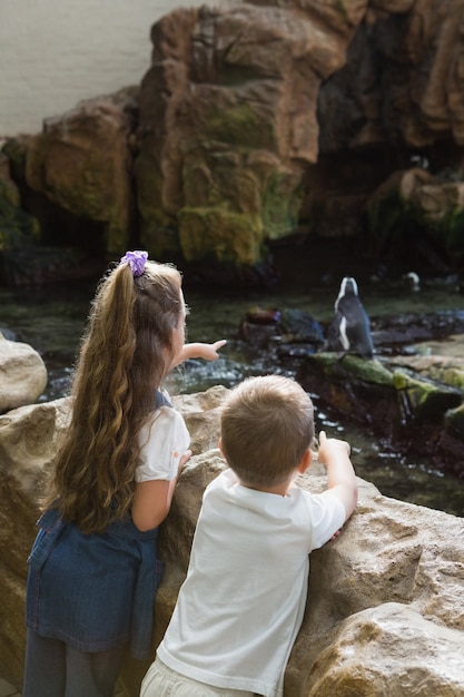 Pequeños hermanos mirando pingüinos