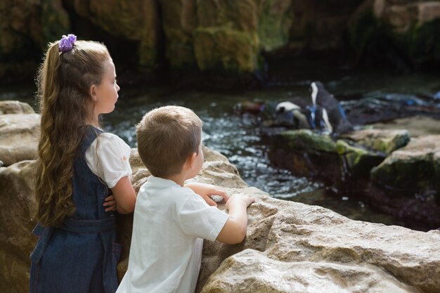 Pequeños hermanos mirando pingüinos