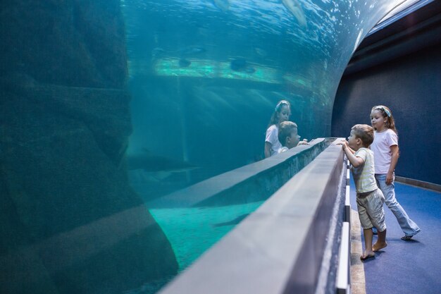 Pequeños hermanos mirando el tanque de peces