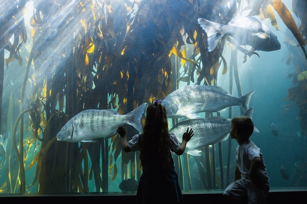 Pequeños hermanos mirando el tanque de peces