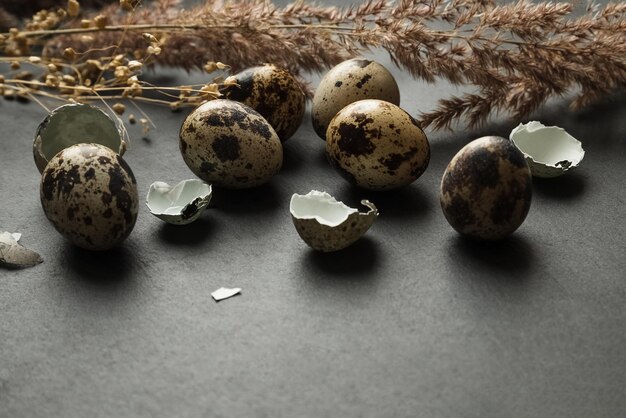 Pequeños huevos manchados y tallos secos de hierba de pampa dispersos en la superficie de la mesa oscura concepto de pascua