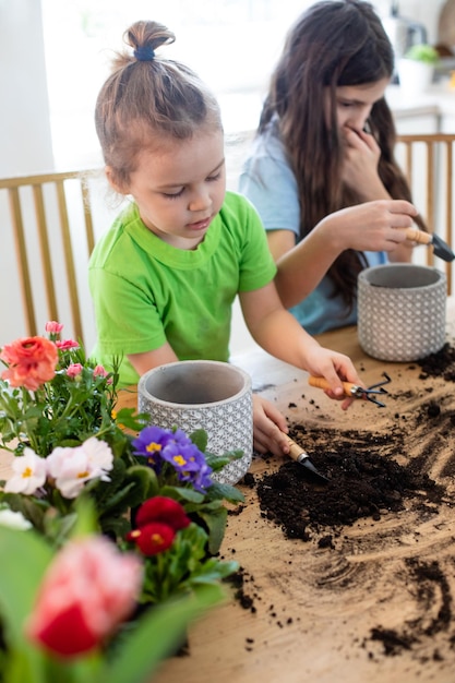 Pequenos jardineiros plantando flores em vasos na cozinha