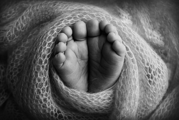 Pequeños y lindos pies descalzos de una pequeña niña o niño caucásico recién nacido de dos semanas de edad envuelto en una manta suave Fotografía macro de estudio profesional de un recién nacido Dedos pies talones Blanco y negro