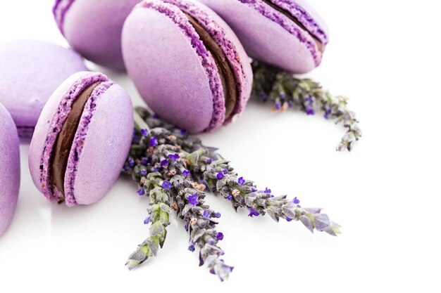 Pequeños macarons franceses de colores gourmet con sabor a lavanda.