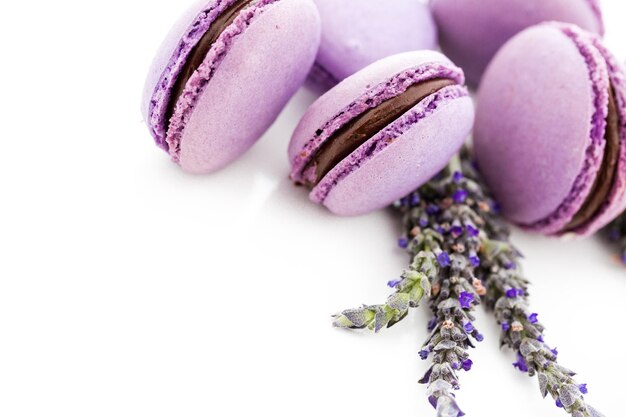 Pequenos macarons franceses coloridos gourmet com sabor de lavanda.