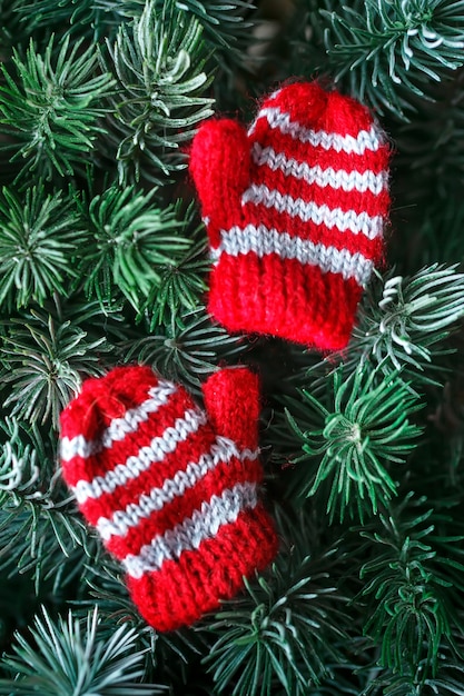 Pequeños mitones de punto en el árbol de navidad