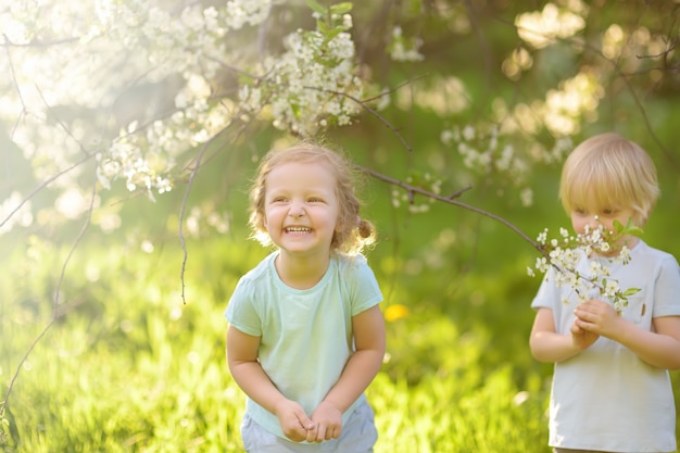 Pequeños niños lindos que juegan juntos en jardín floreciente del cerezo.