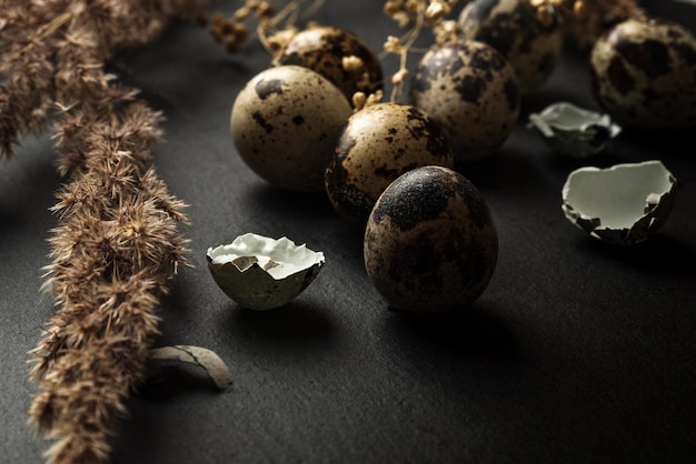 Pequenos ovos manchados e caules secos de grama dos pampas espalhados na superfície da mesa escura decoração de feliz páscoa
