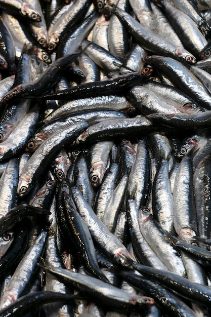 Pequeños peces de mar en los mostradores de la lonja