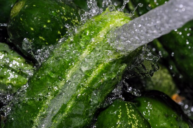 Foto pequeños pepinos verdes se lavan bajo un chorro de agua limpia fotografía macro de cerca