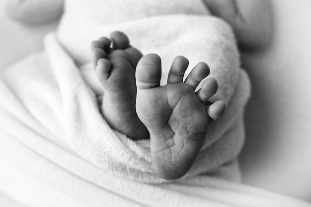 Pequeños pies de un recién nacido sobre un fondo blanco. Dedos salientes. Cuidado de la salud, pediatría. Fotografía en blanco y negro. Foto de alta calidad